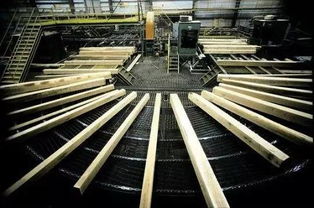 木工锯发展史和板式开料设备未来的发展方向