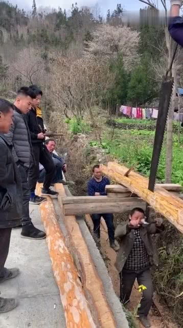 只存在记忆里的断木方式,木桩放深沟上下站两人,拿出木工锯来回推拉太省事