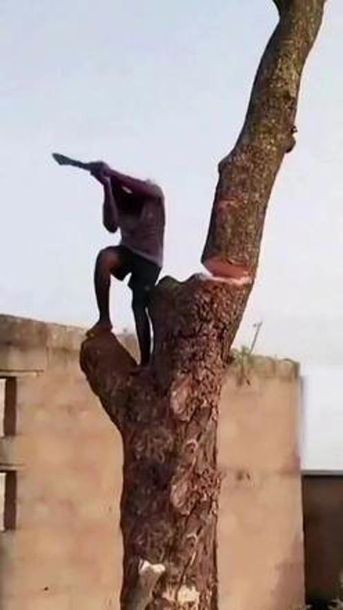 迷你木工小手锯 高性能实用工具的完美诠释