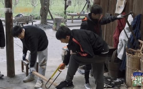 《向往5》黄磊智商下线遭吐槽 弹幕直呼其木工锯常识缺失