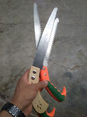 天津河东区树枝剪批发 经济实用的园艺与木工工具选择